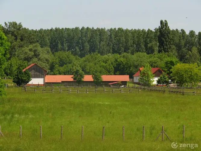 Nagy terek, boldog tappancsok - így lehet állatbarát az otthonod