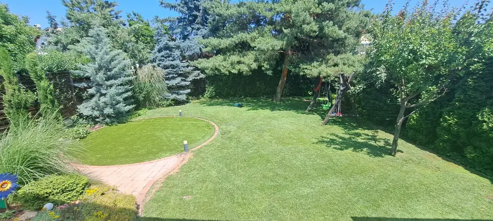 Annak ellenére sárgul a fű a kertben, hogy locsolod? – Ez lehet a probléma! 
