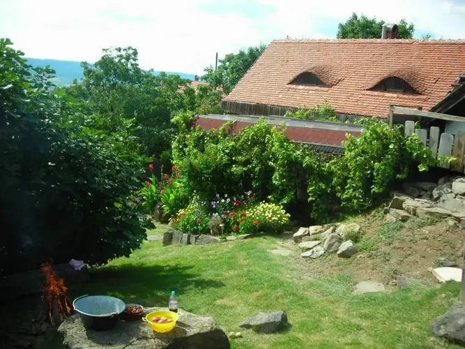 Vesd meg a lábad a Balaton-felvidék legszebb tanúhegyén és kezdj el amatőr borászkodni!