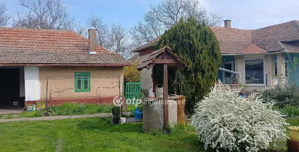 A Körös-menti rejtett kincs, ahol a nyugalom találkozik a természettel!
