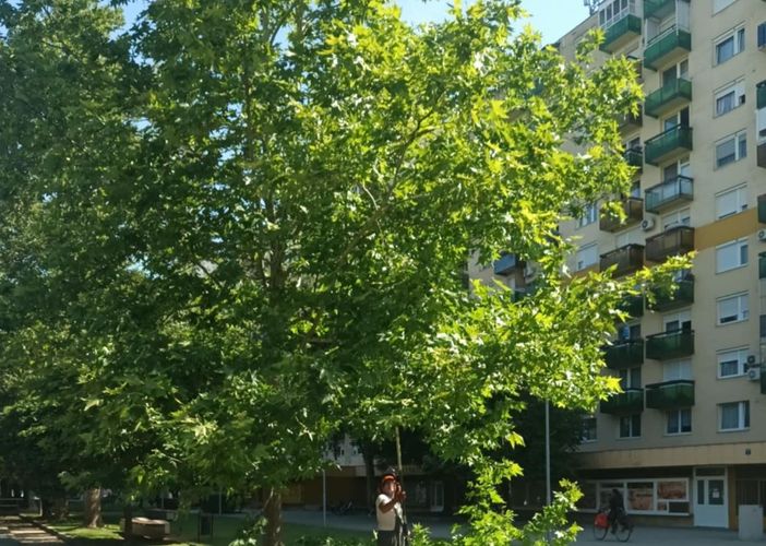 Nyíregyháza pezsgő lakótelepe, ahol a hagyományok életre kelnek