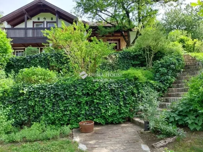 Ahol a fák elnyelik a főváros zaját – ezt az erdőt még a király is magának akarta