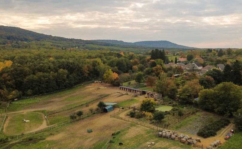 Vállalkozókedvűek számára igazi álom lehet ez a Balaton-felvidéki lovas birtok