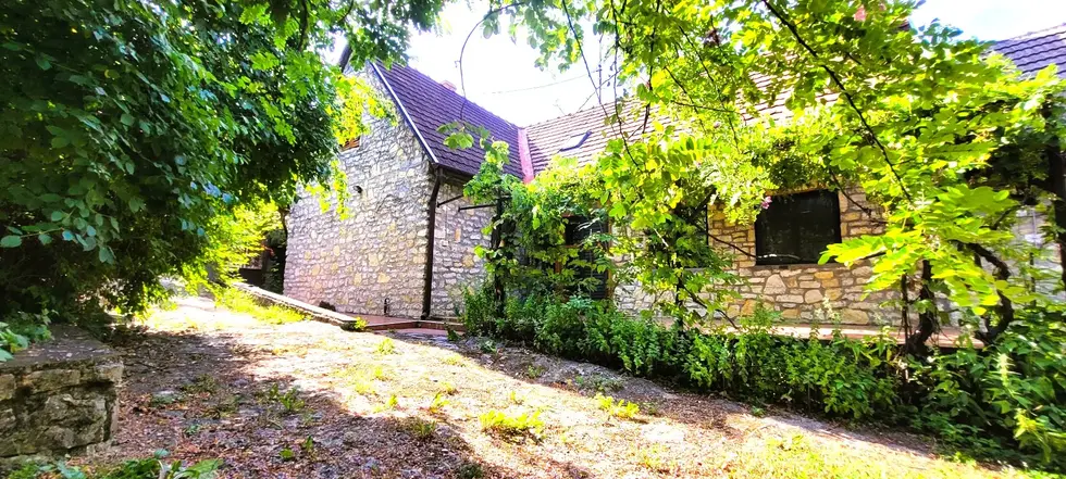 Kőbe zárt időtlenség – ezért a döntésedért még az unokáid is áldani fognak