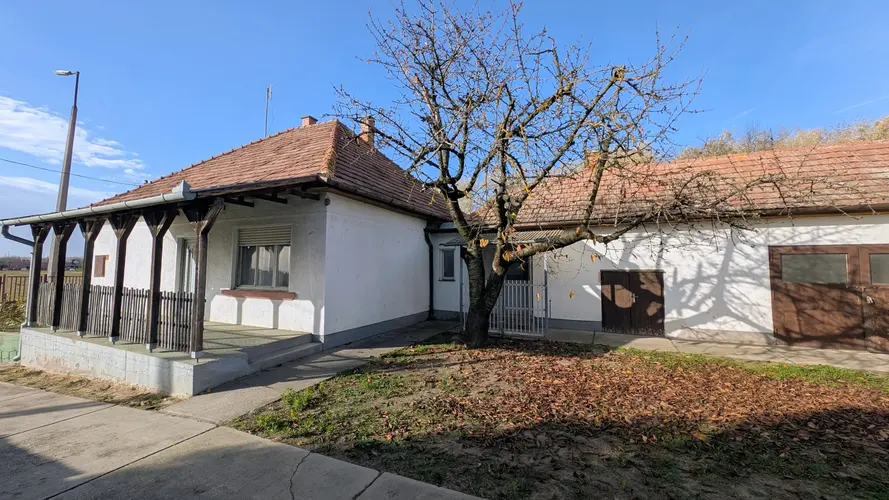 A környék, amely csendben Kecskemét egyik legvonzóbb városrészévé vált