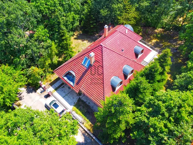 Ezektől a házaktól csupán egy karnyújtásnyira kezdődik az érintetlen erdő