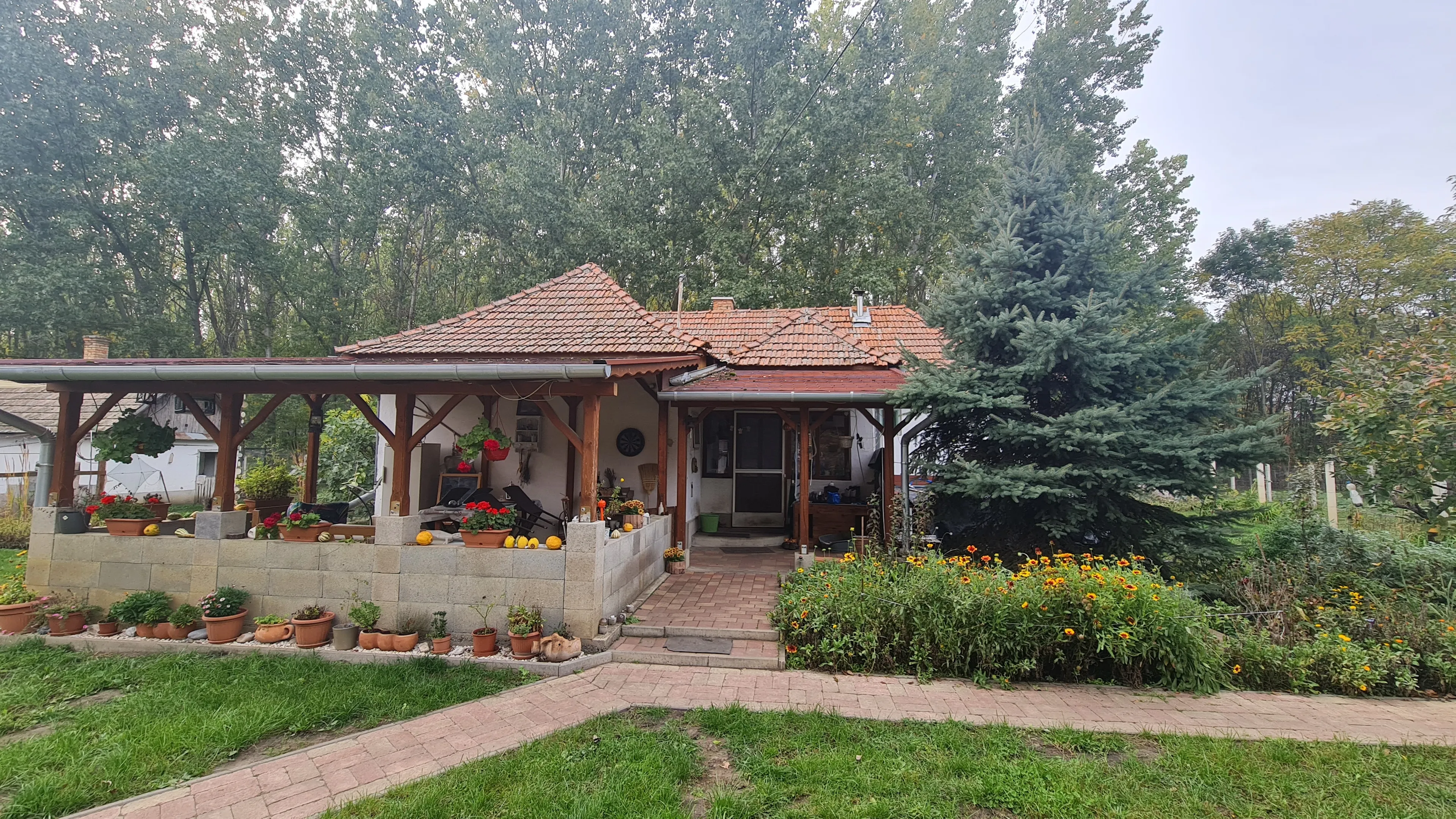 elado-egyeb-haz-jaszszentandras-94708451-t6.webp
