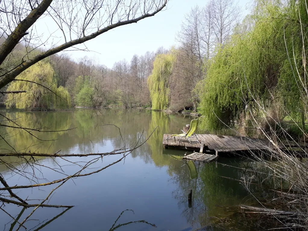elado-csaladi-haz-bardudvarnok-96741208-t6.webp