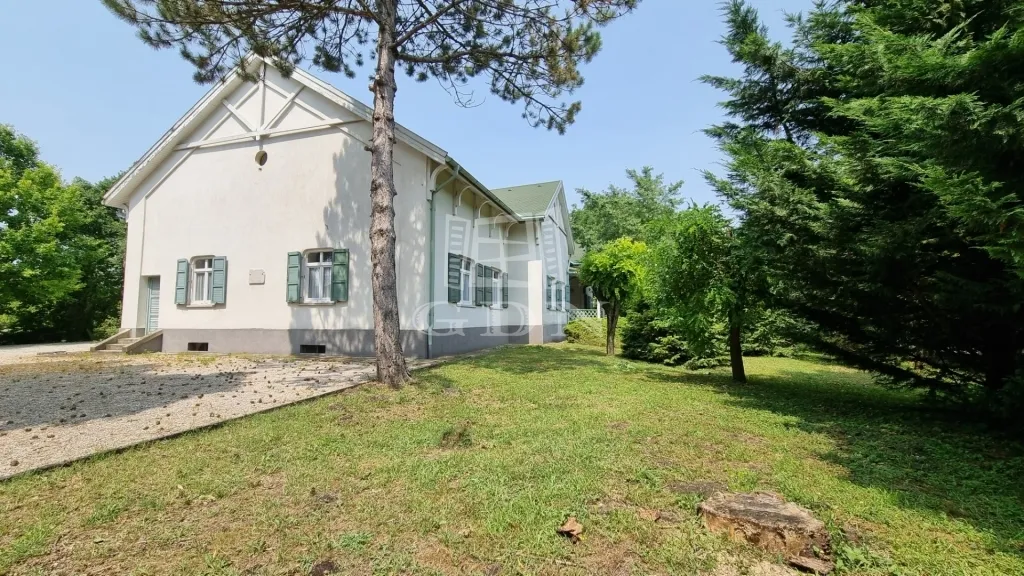 elado-villa-kastely-sarszentmihaly-96364029-t6.webp