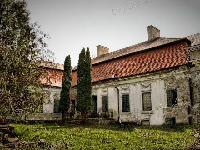 gavavencsello.jpg