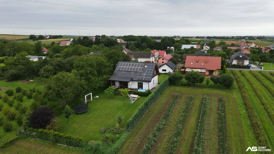 Orły, zdjęcie 5