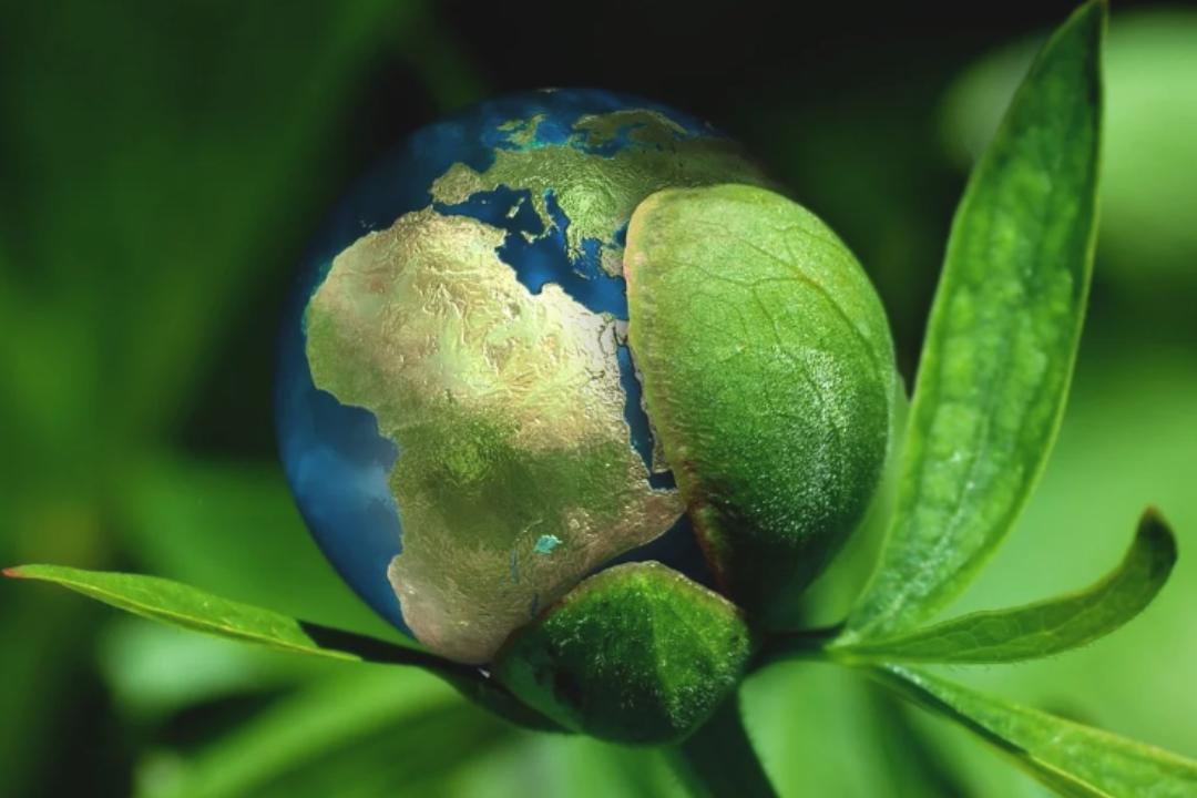 Duurzame Medische Producten Mediost