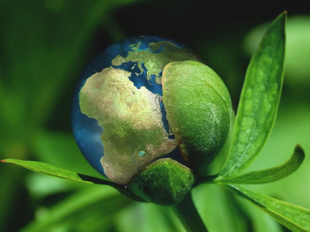Mediost Duurzame Medische Producten