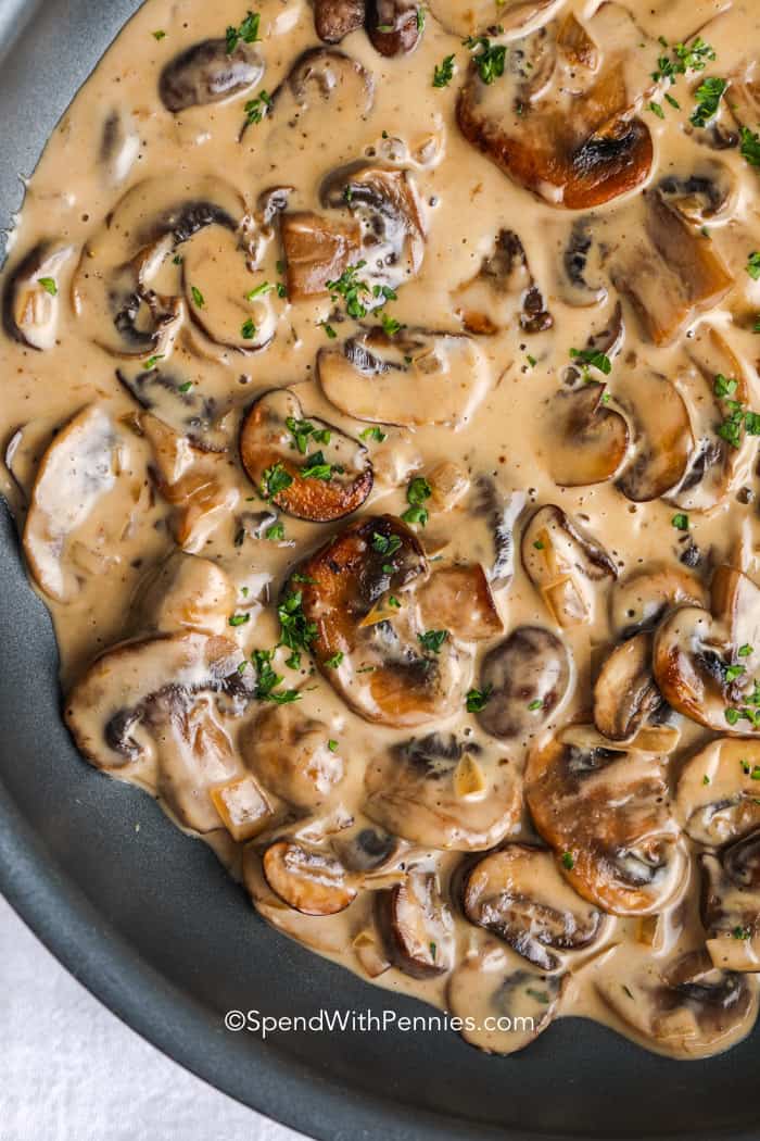 Creamy mushroom sauce