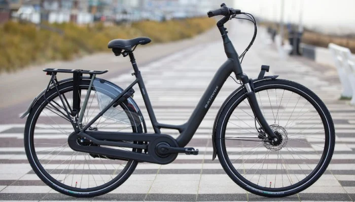 Batavus-Finez.jpg