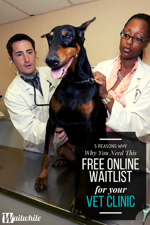 queue-management-system-vet-clinic