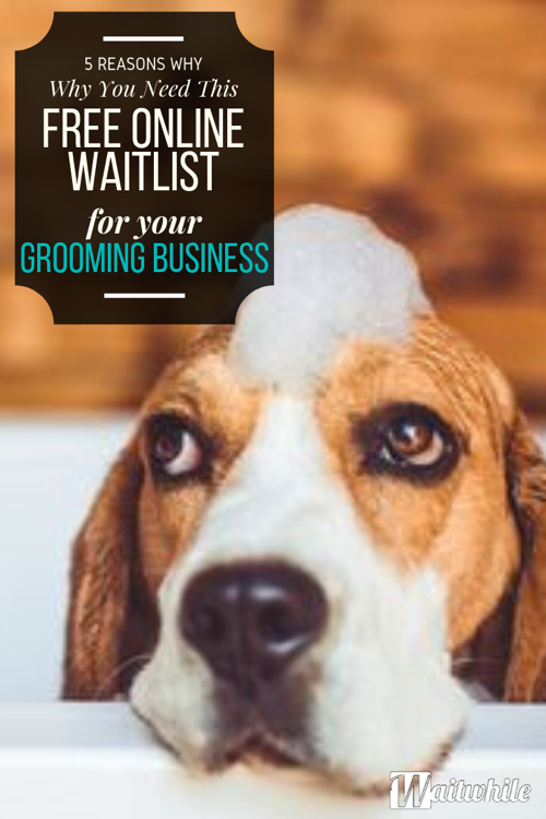 queue-management-system-groomer