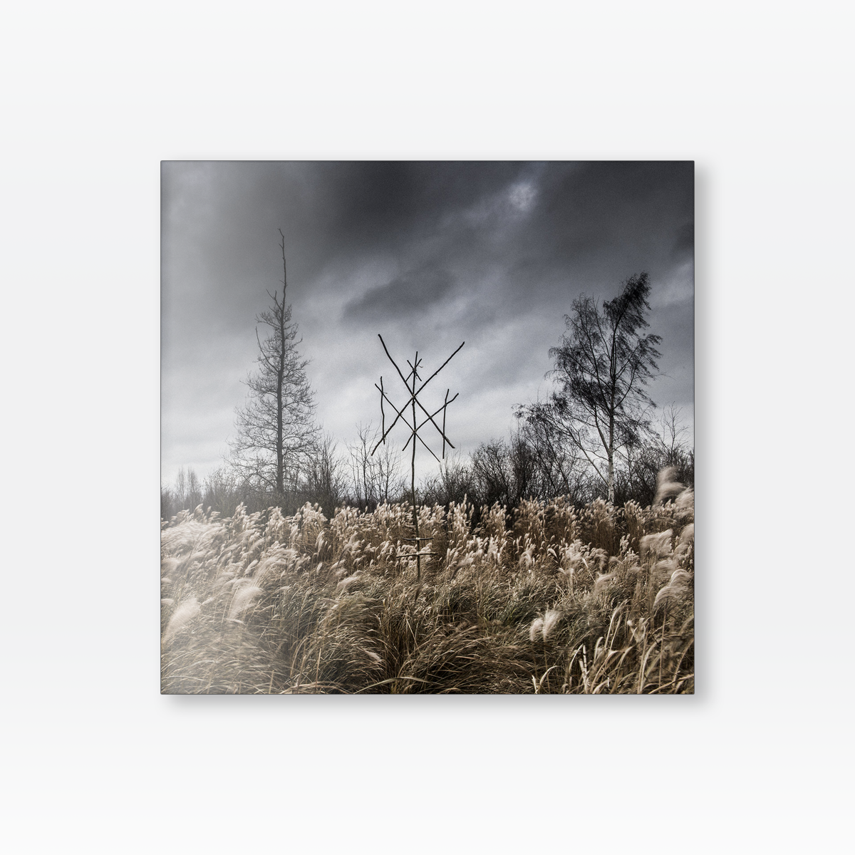 Wiegedood - De Doden Hebben Het Goed CD
