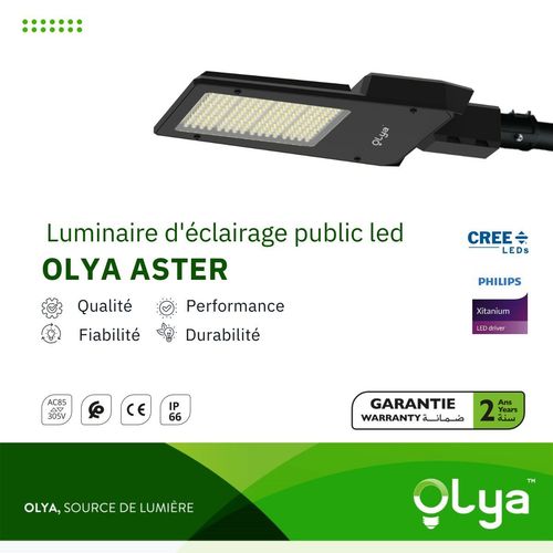 Nouveau luminaire d'éclairage public Olya ASTER