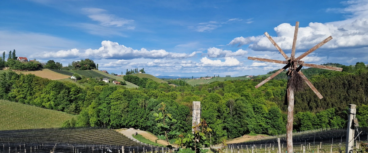 The Austrian Wine Wonderland That’s Called Steiermark.