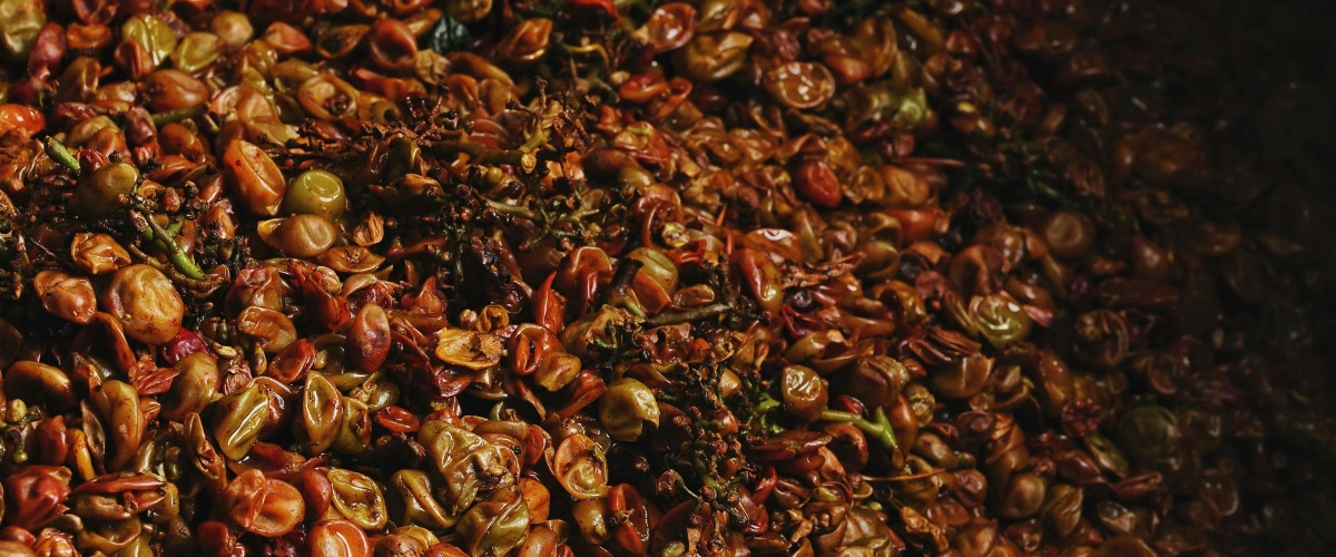 Grape Skins - Rosé Vinification Techniques 