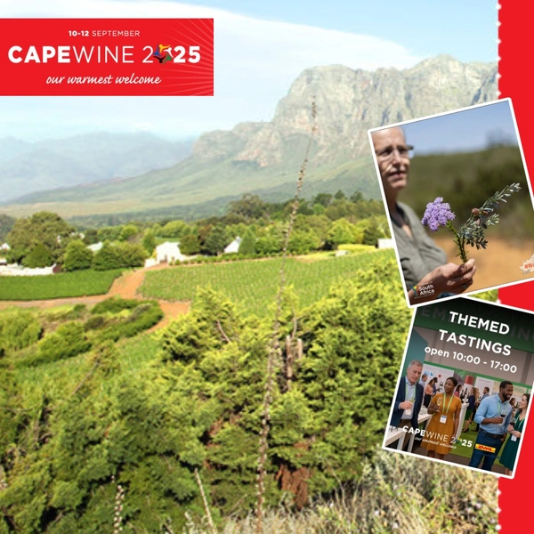 Cape Wine 2025 in Cape Town – showcasing South African wine trends, premium wines, sustainability and the new WoSA branding ‘There’s Sunshine Inside’.