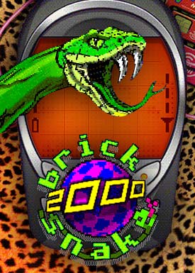 Brick Snake 2000
