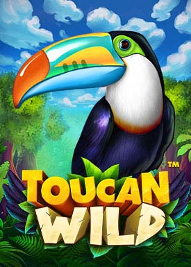 Toucan Wild