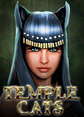 Temple Cats
