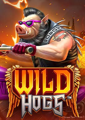 Wild Hogs