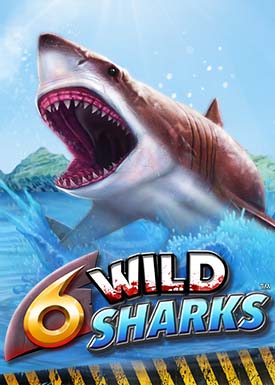 6 Wild Sharks