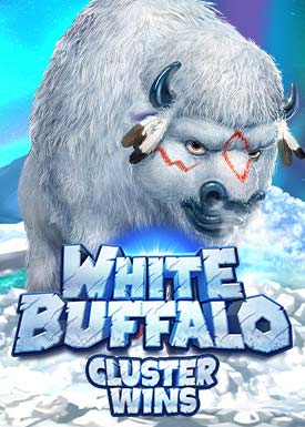 White Buffalo