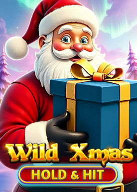 Wild Xmas -  Hold & Hit