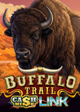 Buffalo Trail Cash Mesh Link