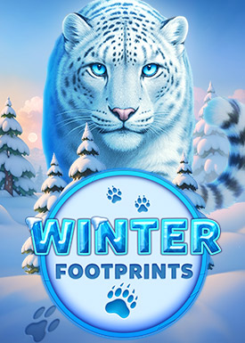 Winter Footprints