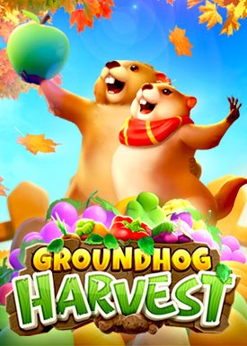 Groundhog Harvest