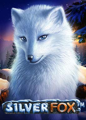 Silver Fox