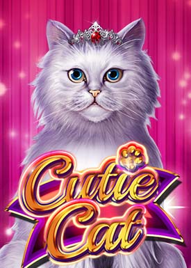 Cutie Cat