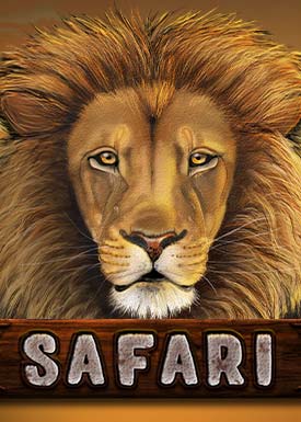 Safari