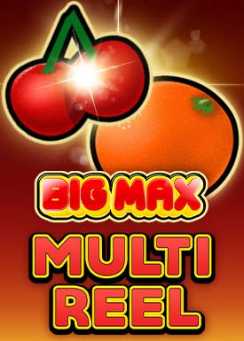 Big Max Multi Reel