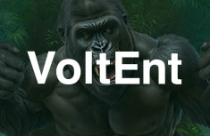 VoltEnt