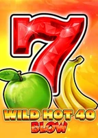 Wild Hot 40 Blow