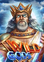 Wild Gods