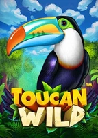 Toucan Wild