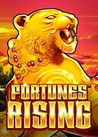 Bao Tree Fortunes Rising