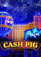 Cash Pig