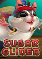 Sugar Glider