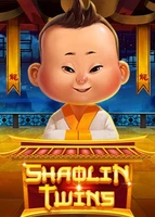 Shaolin Twins