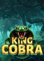 King Cobra