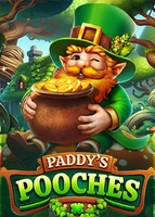 Paddy's Pooches